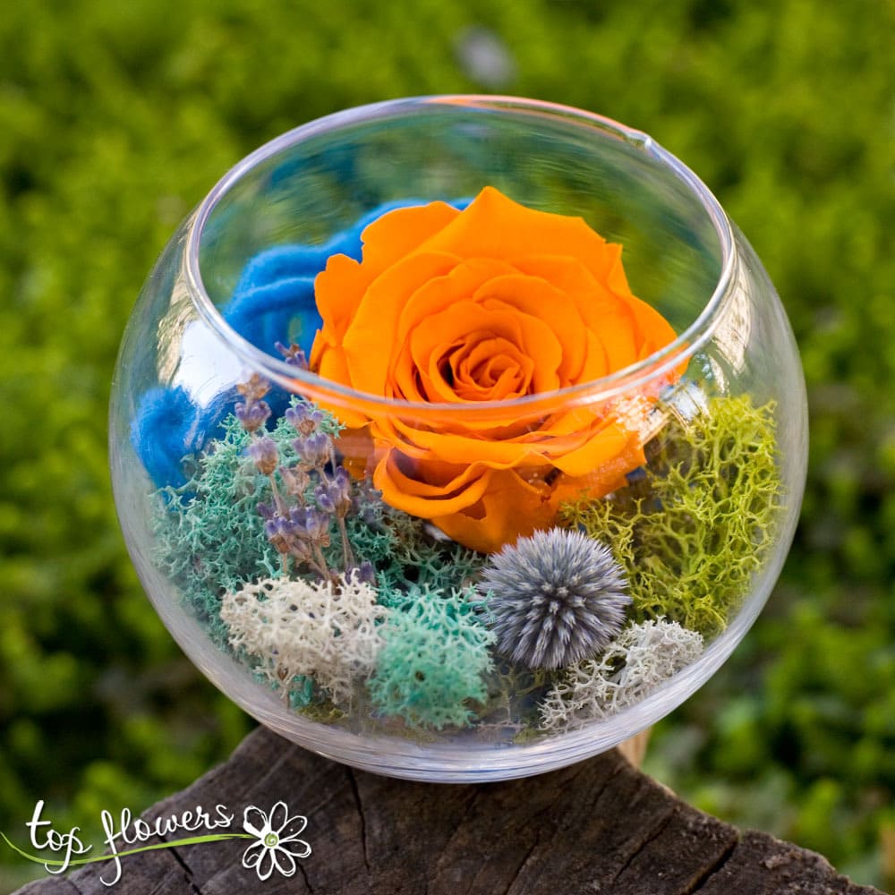 Eternal Rose In Glass Sphere Orange Top Flowers Com