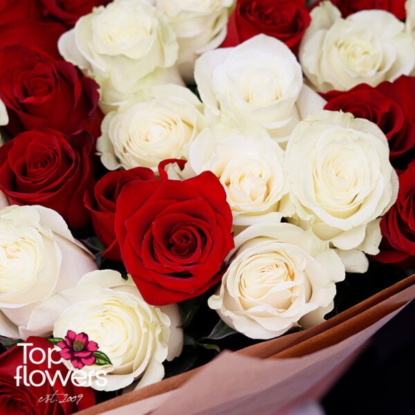 101 red and white roses | Bouquet - Image 5