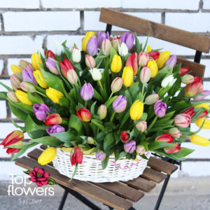 101 assorted tulips | Basket