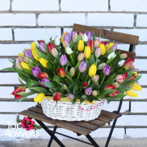 101 assorted tulips | Basket