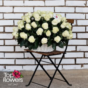 Basket of 51 ecru or white roses