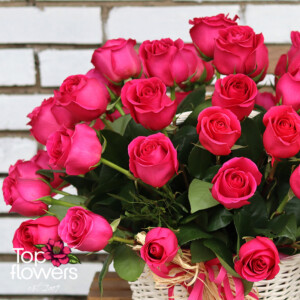 Basket of 51 cyclamen roses