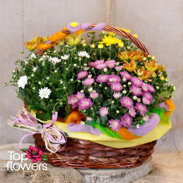 Basket of Chrysanthemums