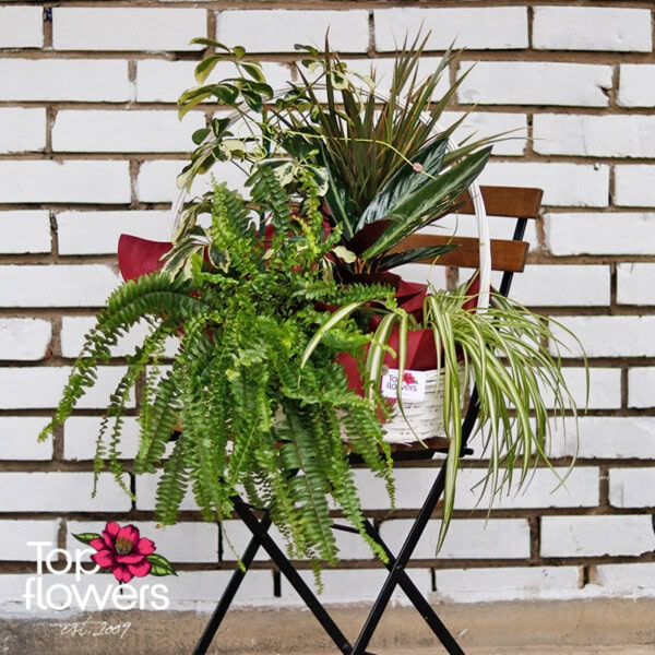 Leafy Elegance Basket - Image 3