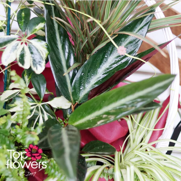 Leafy Elegance Basket - Image 7