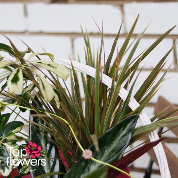 Leafy Elegance Basket - Image 8