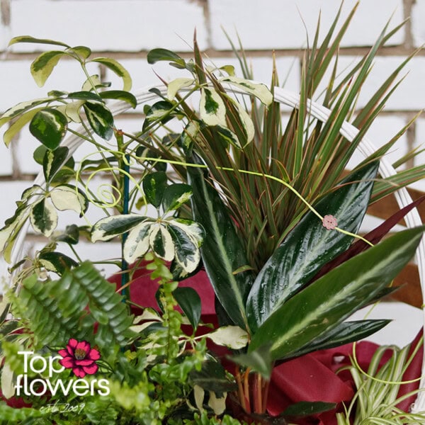 Leafy Elegance Basket