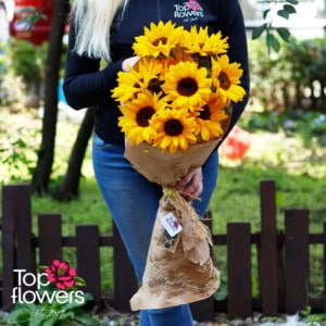 Armful Sunflowers | Bouquet