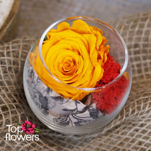 Eternal rose in glass sphere | ORANGE - Image 3