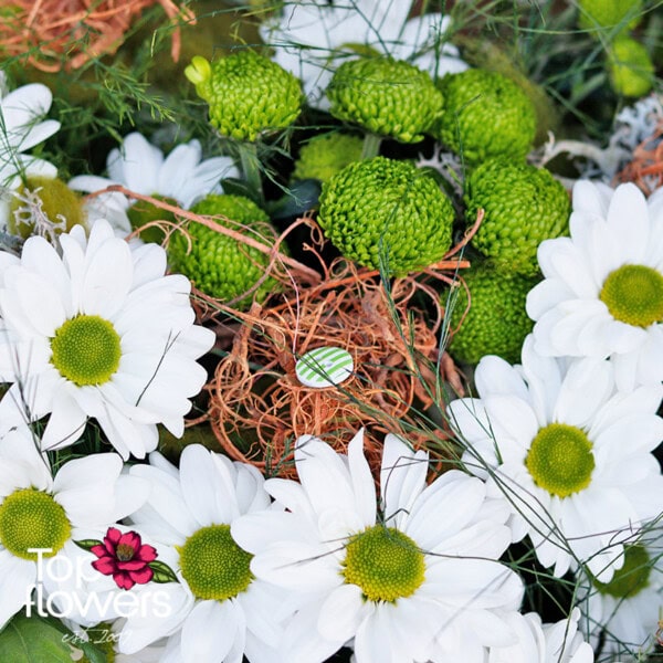 Green eyes | Boquet - Image 6