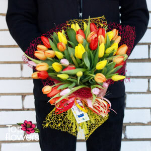 51 multicolored tulips | Bouquet