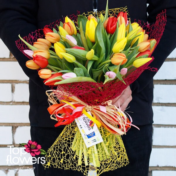 51 multicolored tulips | Bouquet