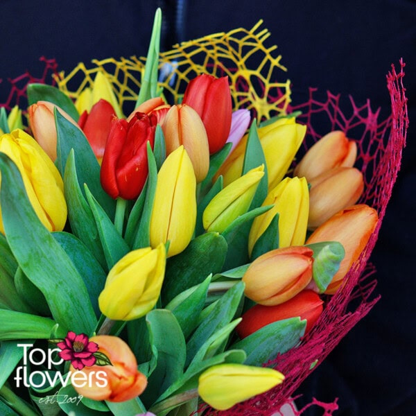 51 multicolored tulips | Bouquet - Image 5