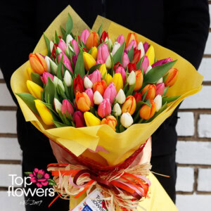 Bouquet of 101 Tulips | Multicolored