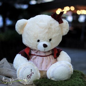 Teddy bear with clothes Girl | 42 cm.