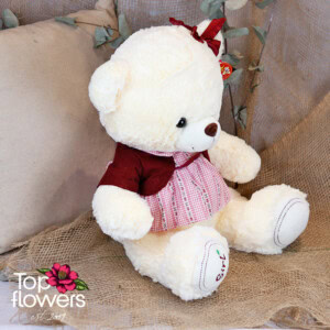 Teddy bear with clothes Girl | 42 cm.