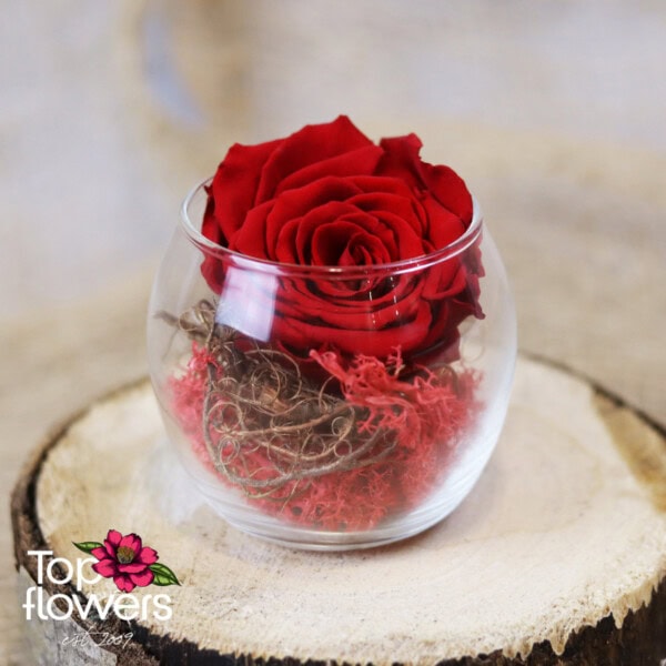 Eternal rose in glass sphere | Red