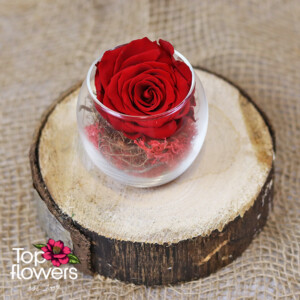 Eternal rose in glass sphere | Red