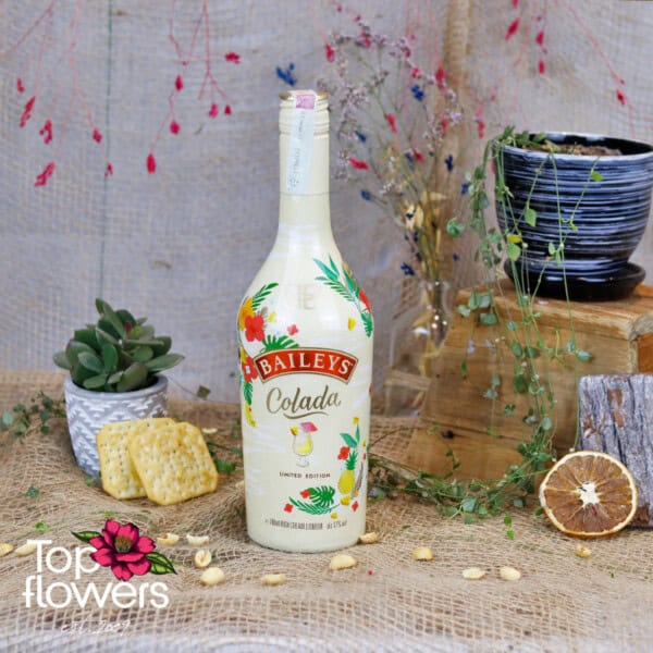 Baileys Pina Colada | Liqueur