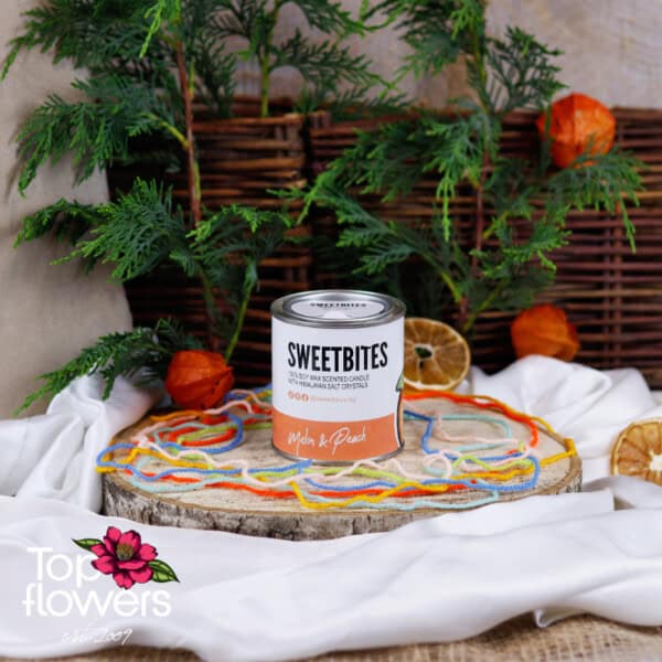 SweetBites Soy Candle | Melon And Peach