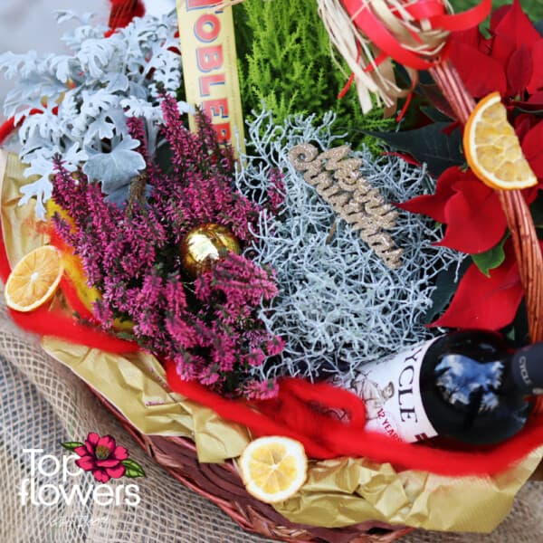 Christmas basket with live plants and sweet delight | Cypress