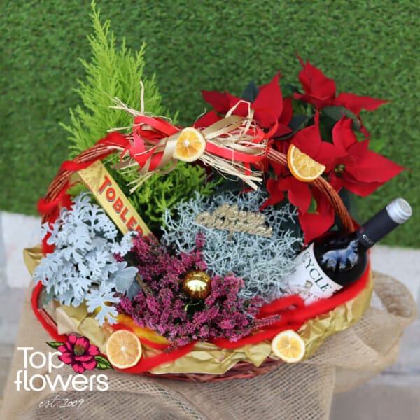 Christmas basket with live plants and sweet delight | Cypress