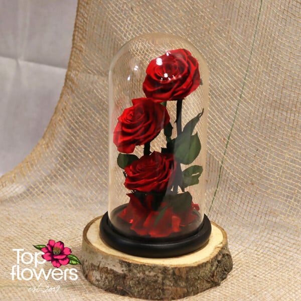 Three eternal roses in a glass jar | RED