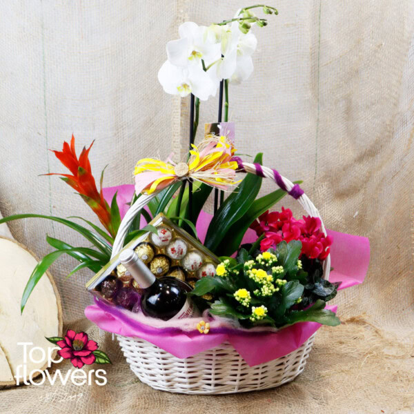 Plant and Surprise Mix | Basket