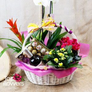 Plant and Surprise Mix | Basket