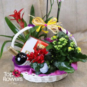 Plant and Surprise Mix | Basket