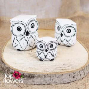 Decorative wooden owl | White