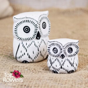 Decorative wooden owl | White