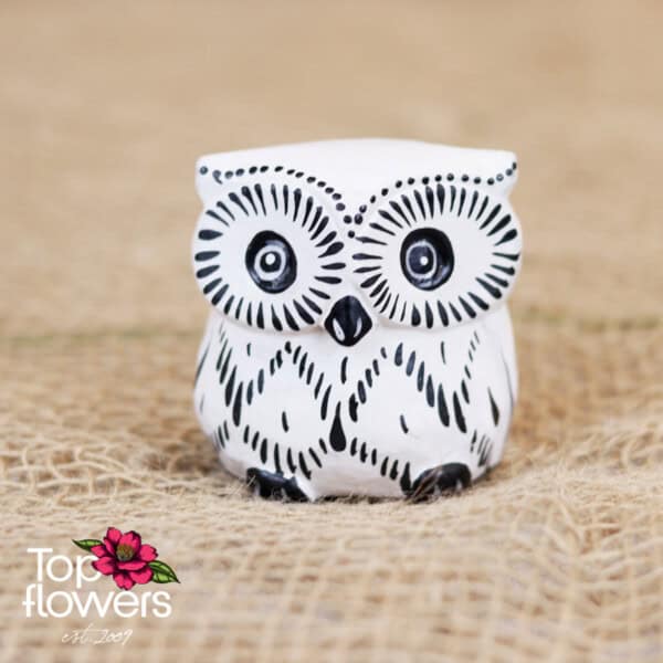 Decorative wooden owl | White