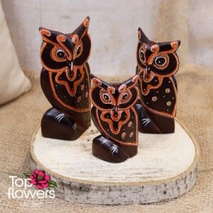 Decorative wooden owl | Brown