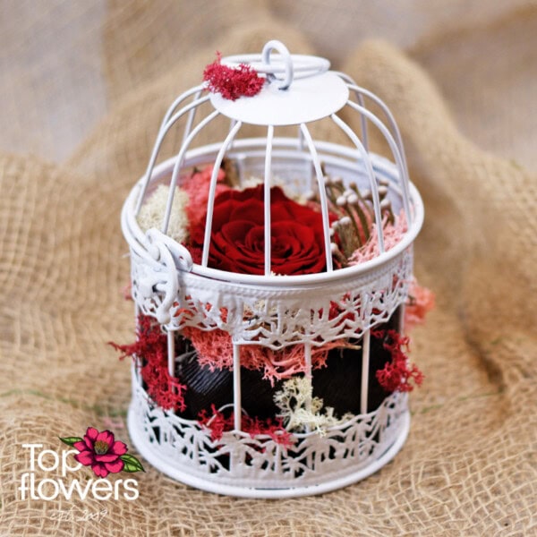 Eternal rose in a decorative cage | Red