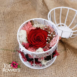 Eternal rose in a decorative cage | Red