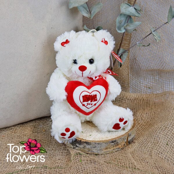 Bear holding heart Love you | 20 cm