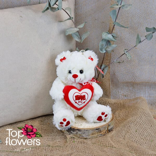 Bear holding heart Love you | 20 cm