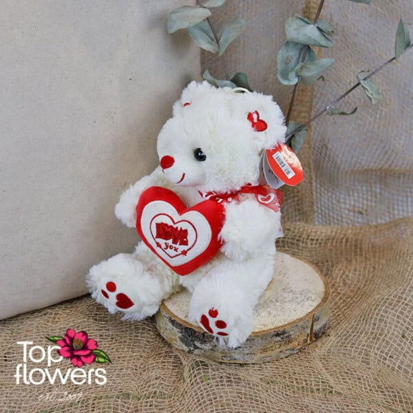 Bear holding heart Love you | 20 cm