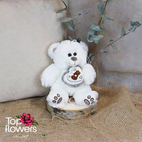 White Teddy Bear | 23 cm