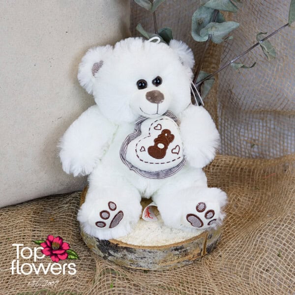 White Teddy Bear | 23 cm