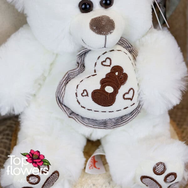 White Teddy Bear | 23 cm