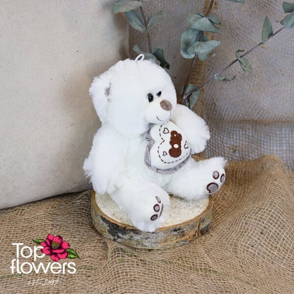 White Teddy Bear | 23 cm