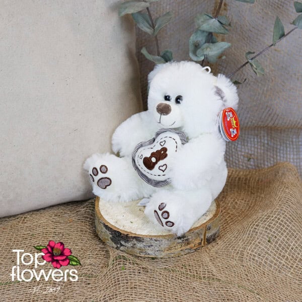 White Teddy Bear | 23 cm