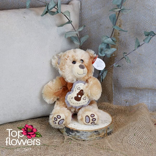 Brown Teddy Bear | 23 cm - Image 2