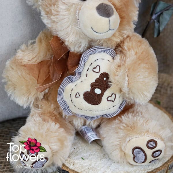 Brown Teddy Bear | 23 cm