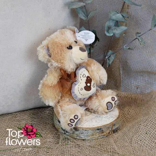 Brown Teddy Bear | 23 cm