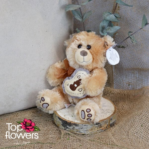 Brown Teddy Bear | 23 cm - Image 5