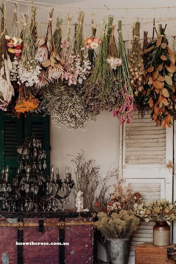 Dried Plants and Flowers for Long-Lasting Autumn Decorations in Art: