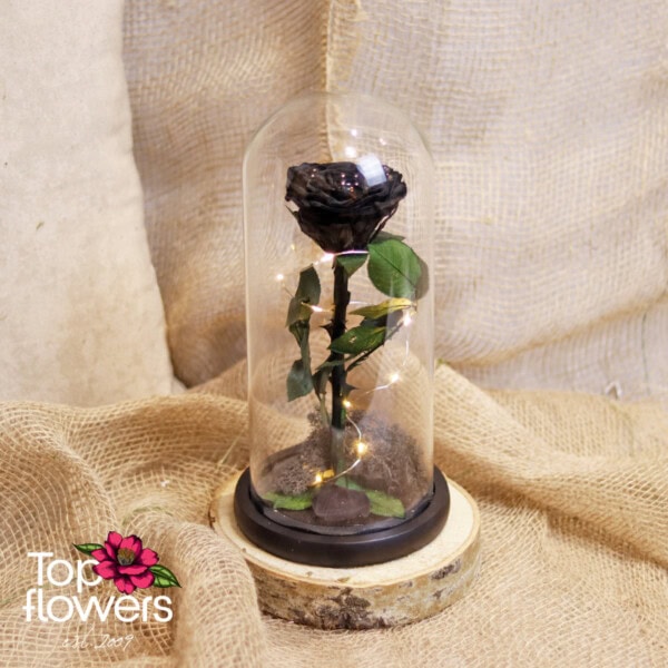 Eternal Black Rose in a Glass Dome - Image 2